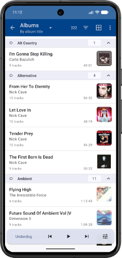 Albums grouped by genre