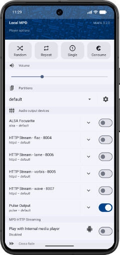 Player options screenshot