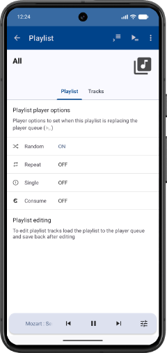 Playlist player options