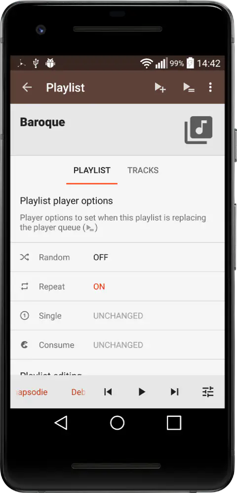 MAFA – Playlist player options
